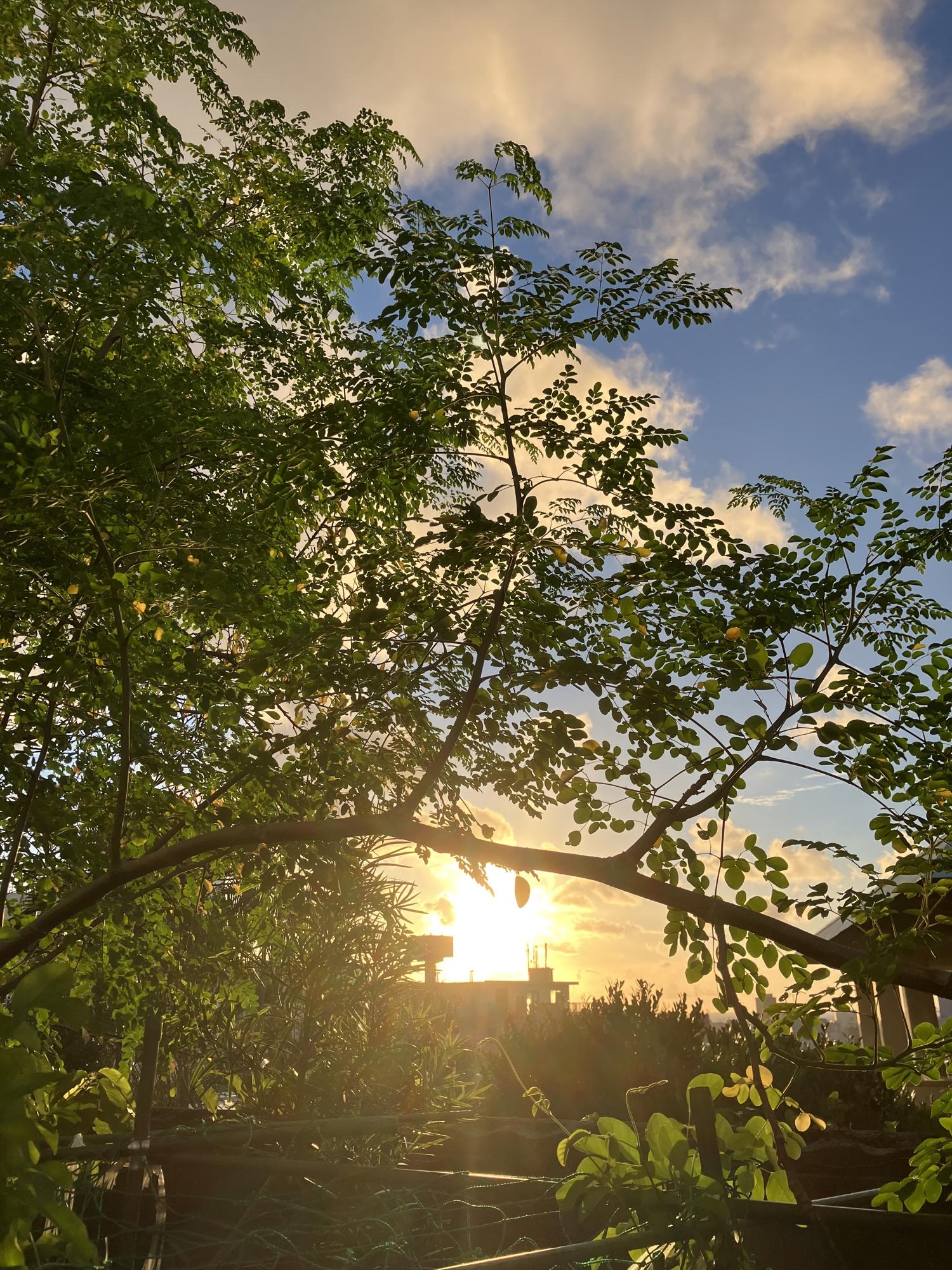 イェスタディの１８時４２分