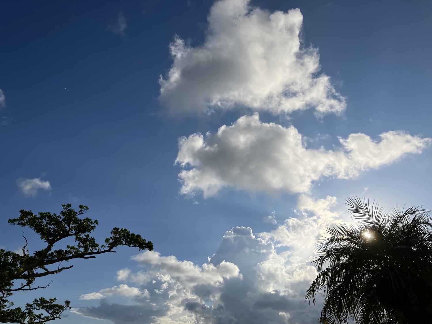 イェスタディの１７時４４分