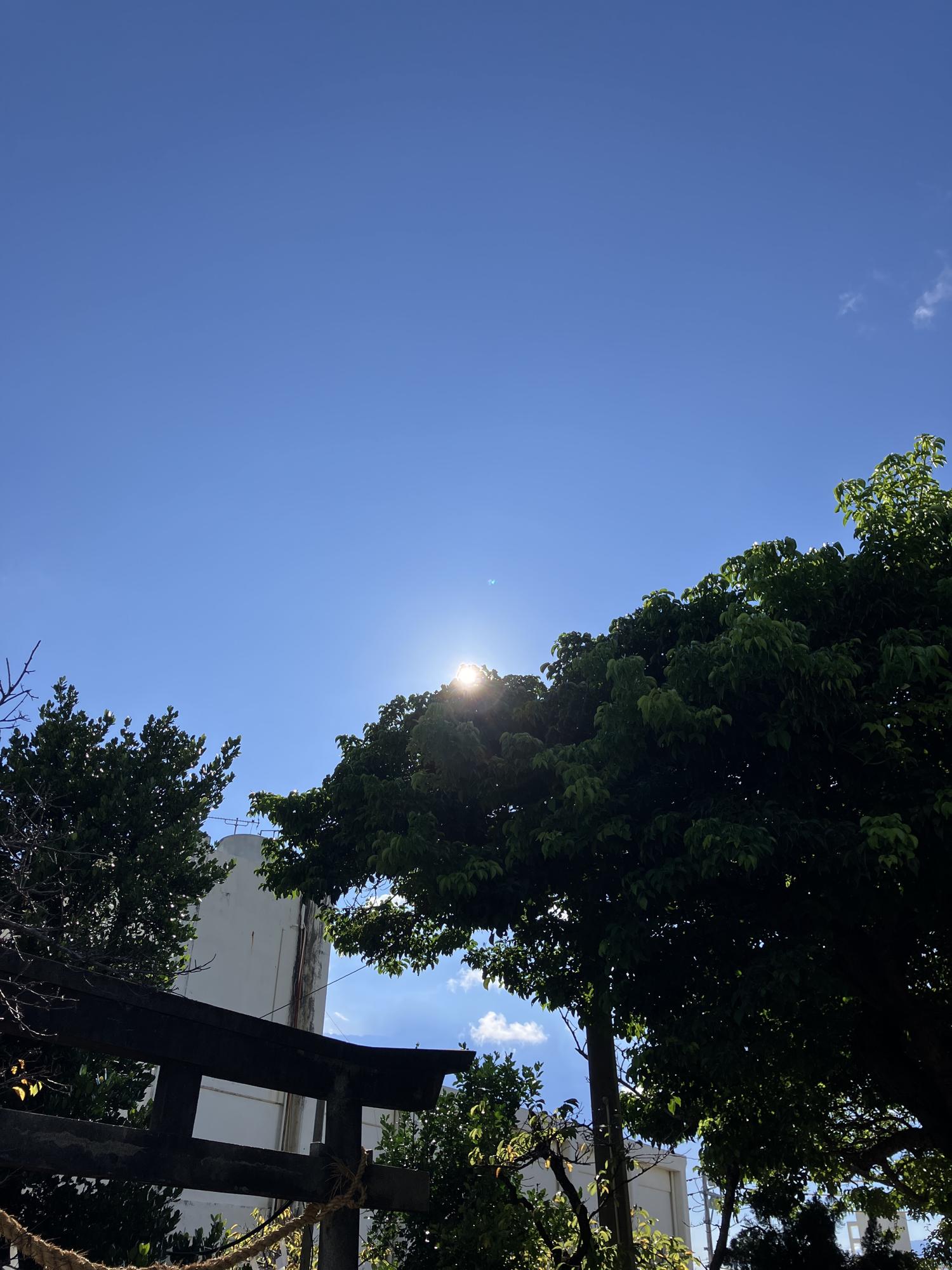 イェスタディの１６時３５分