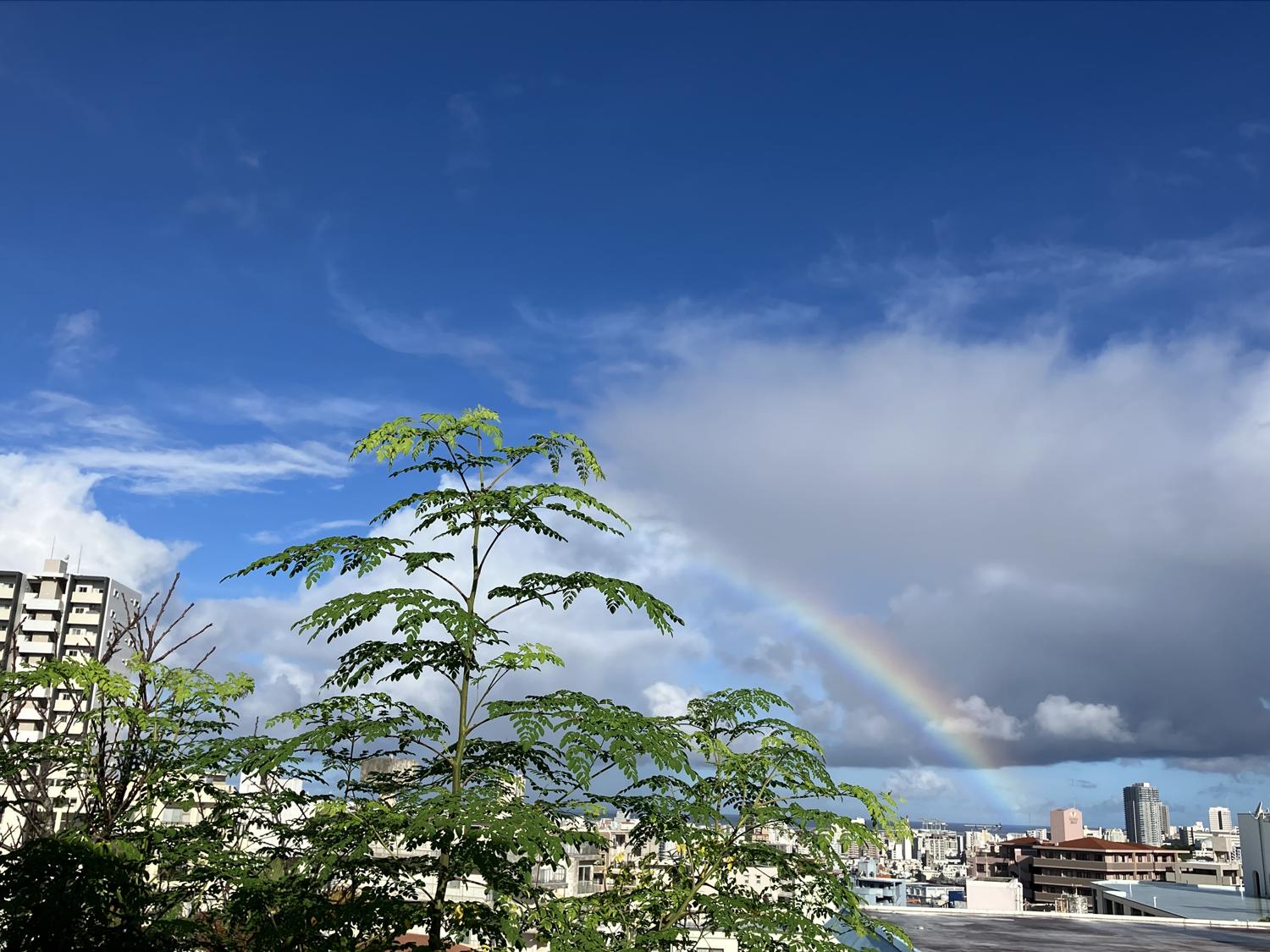 ８時６分　虹です