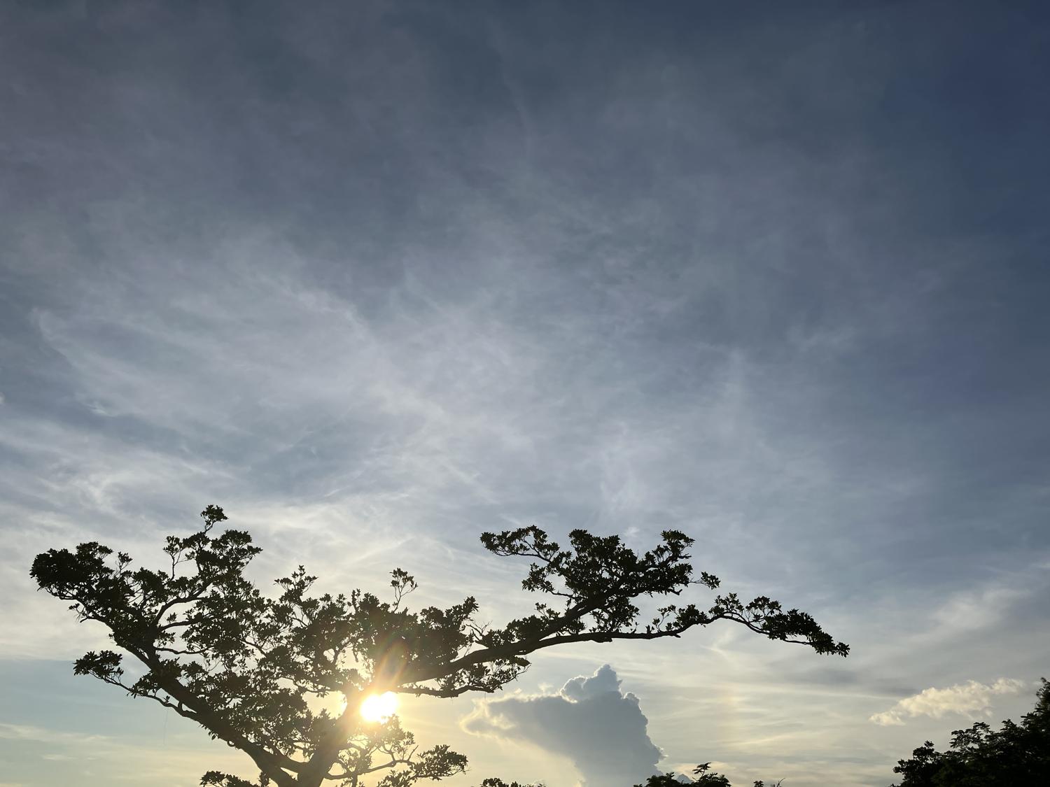 イェスタディの１７時５４分