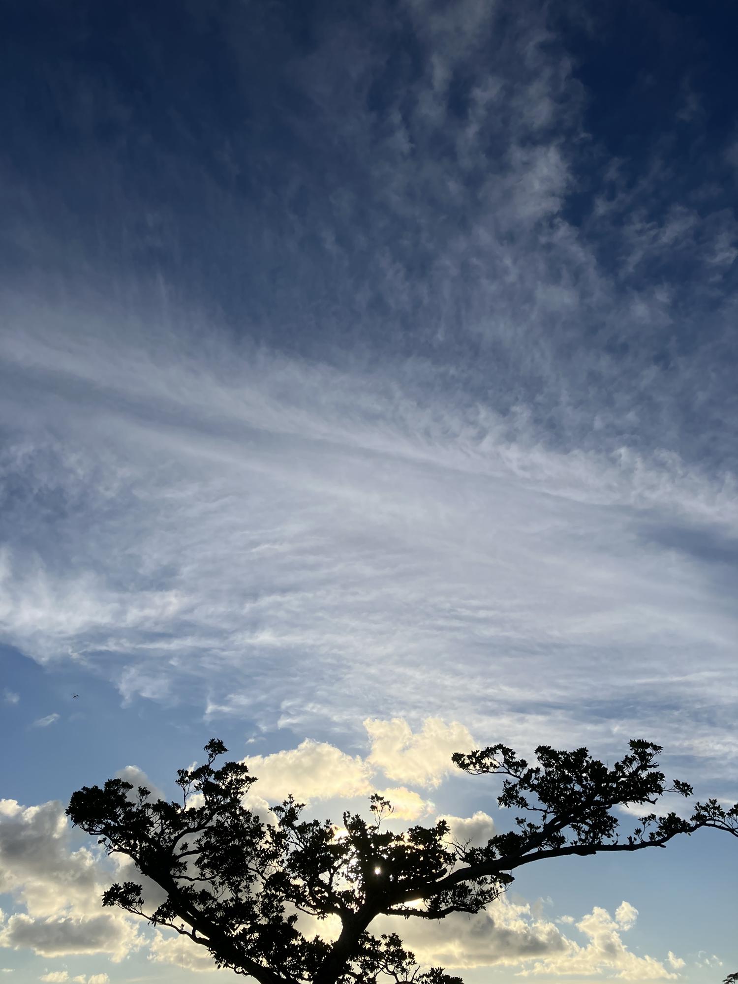 イェスタディの１７時４２分