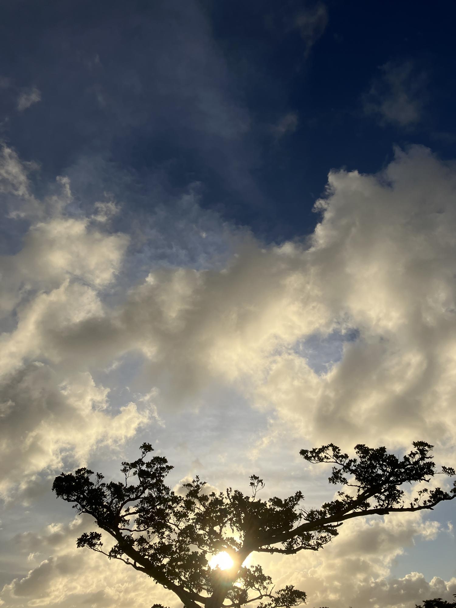 イェスタディの１７時５３分