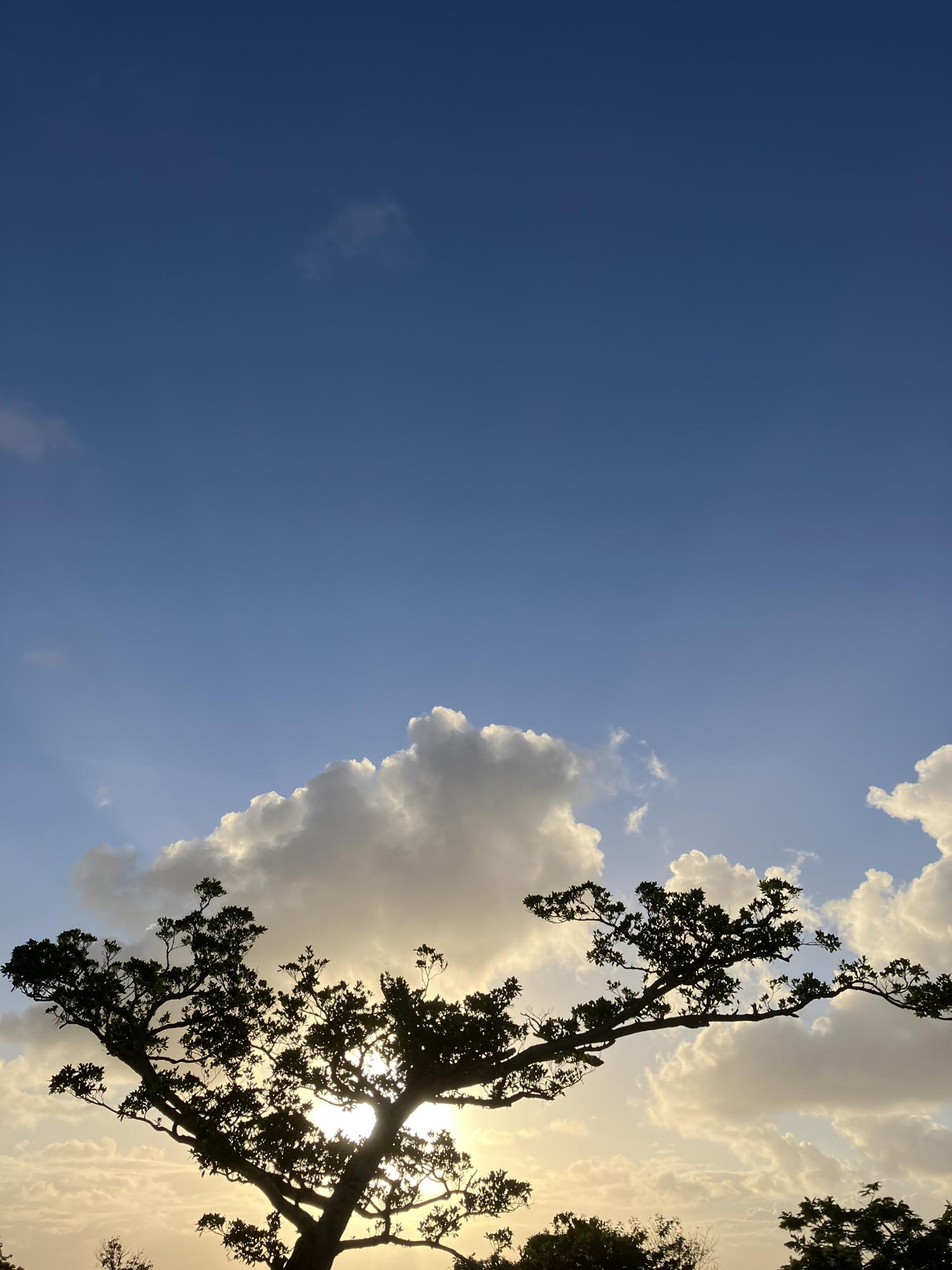イェスタディの１７時４５分