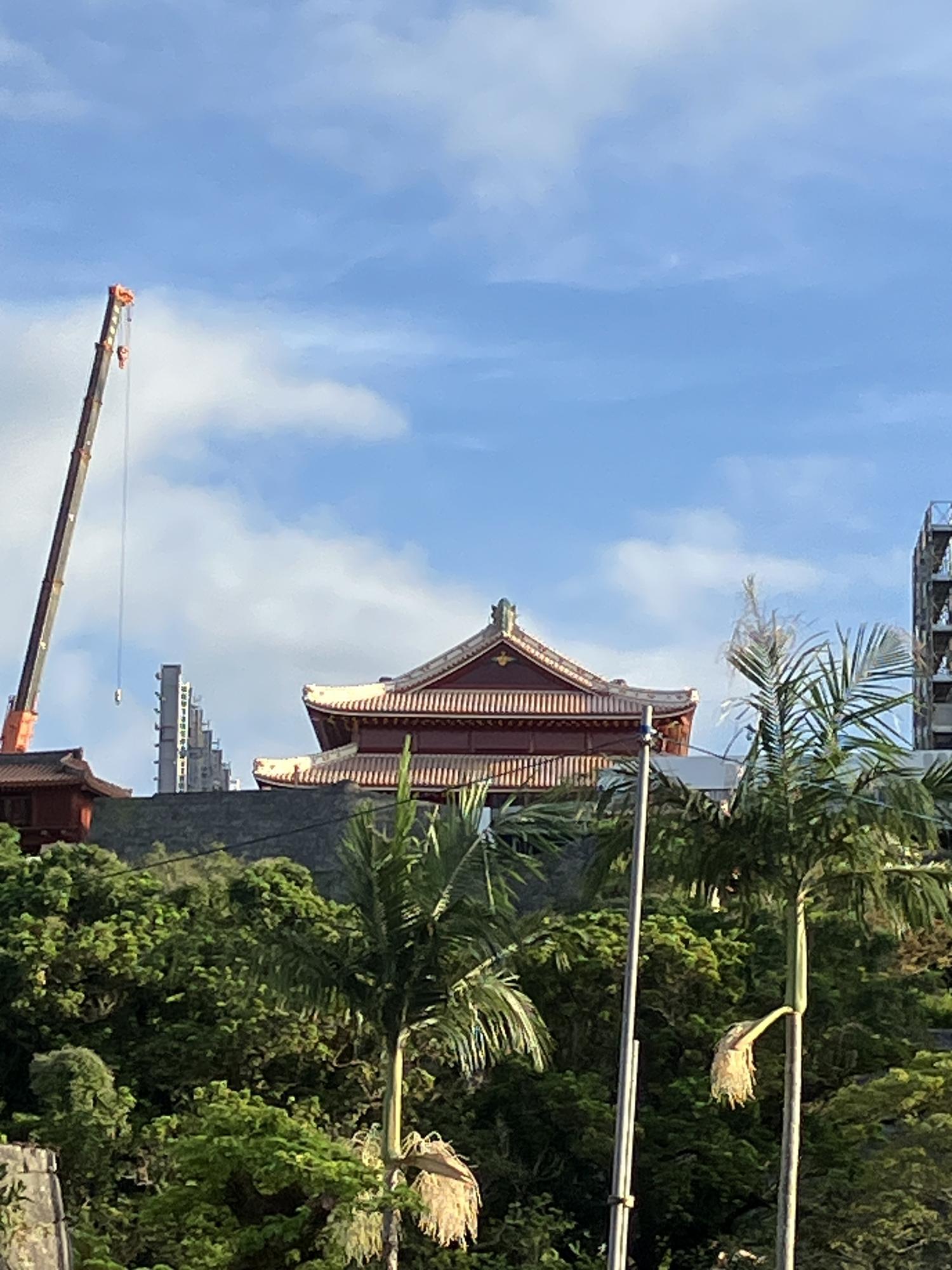 遠くからみた首里城