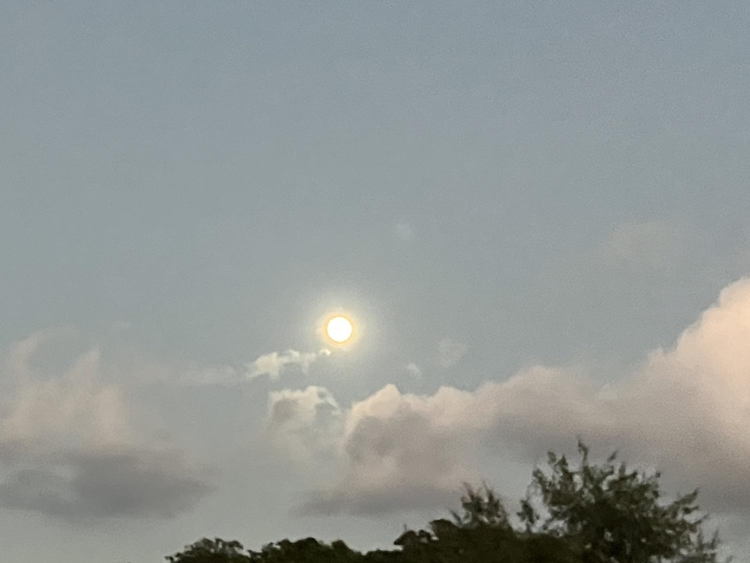 １８時３０分　十五夜