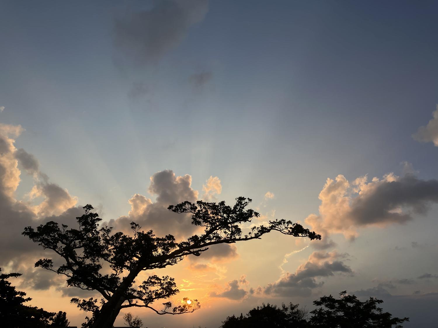 イェスタディの１７時４３分