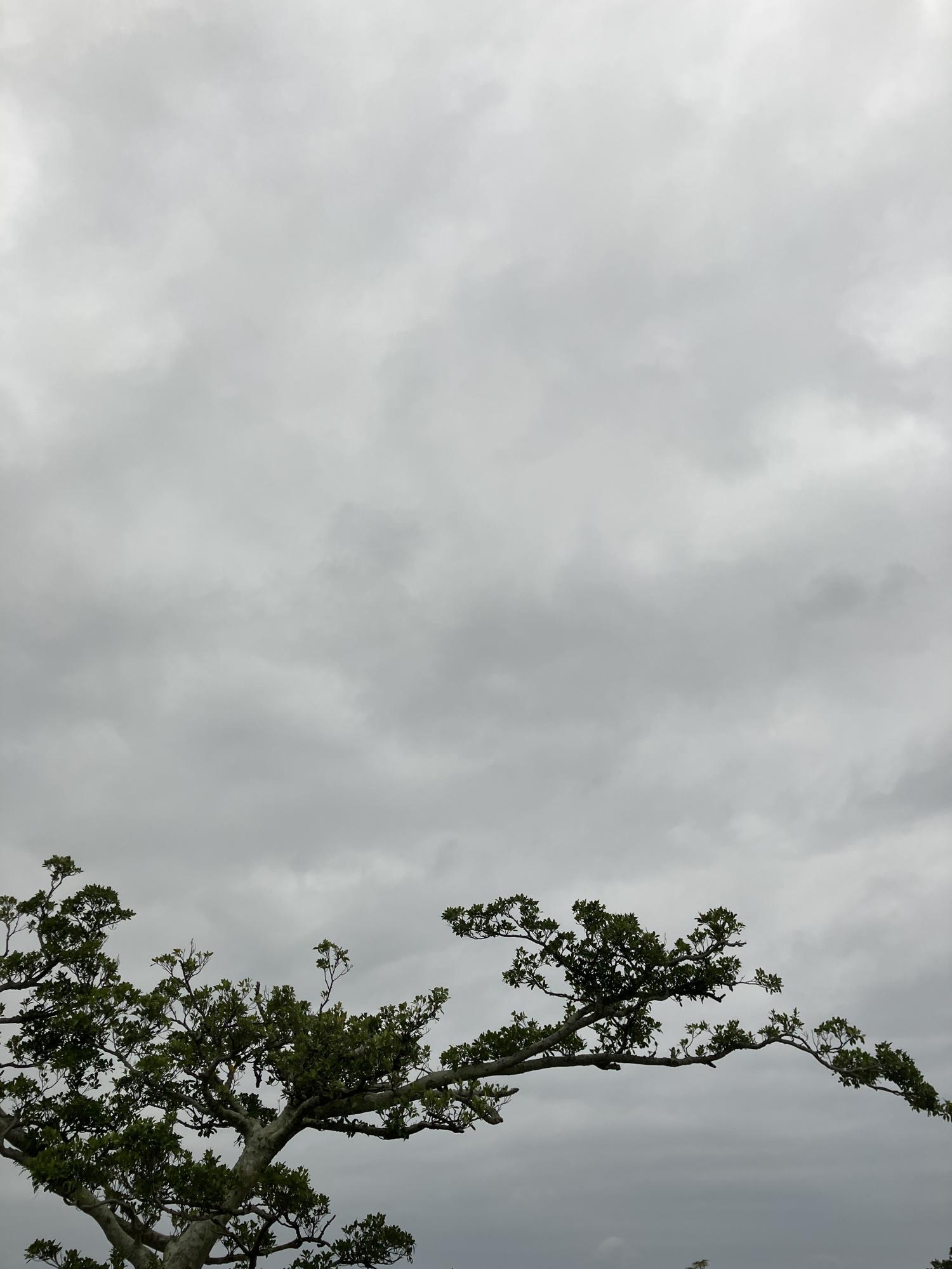 イェスタディの１７時１７分