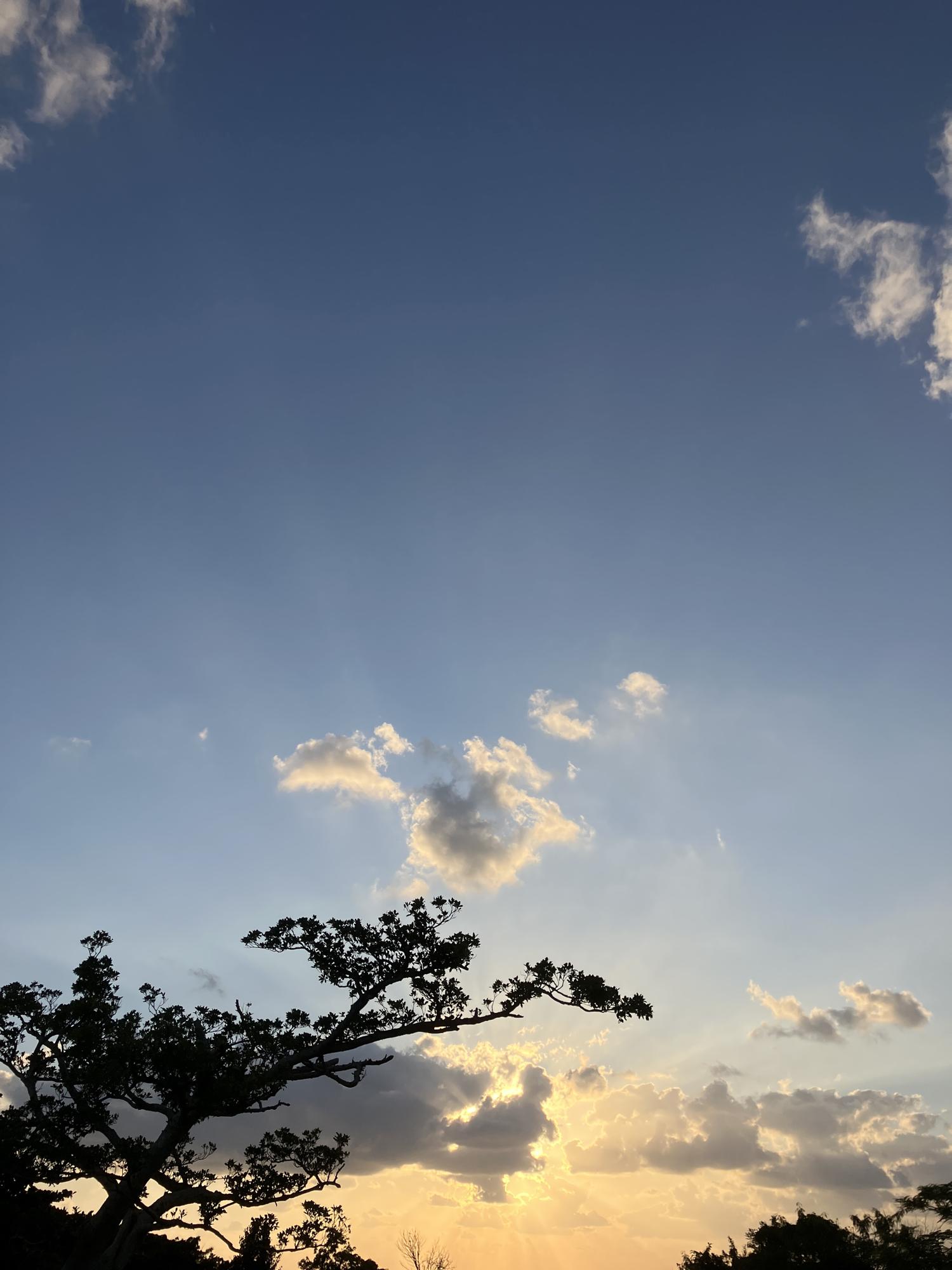 イェスタディの１７時１７分