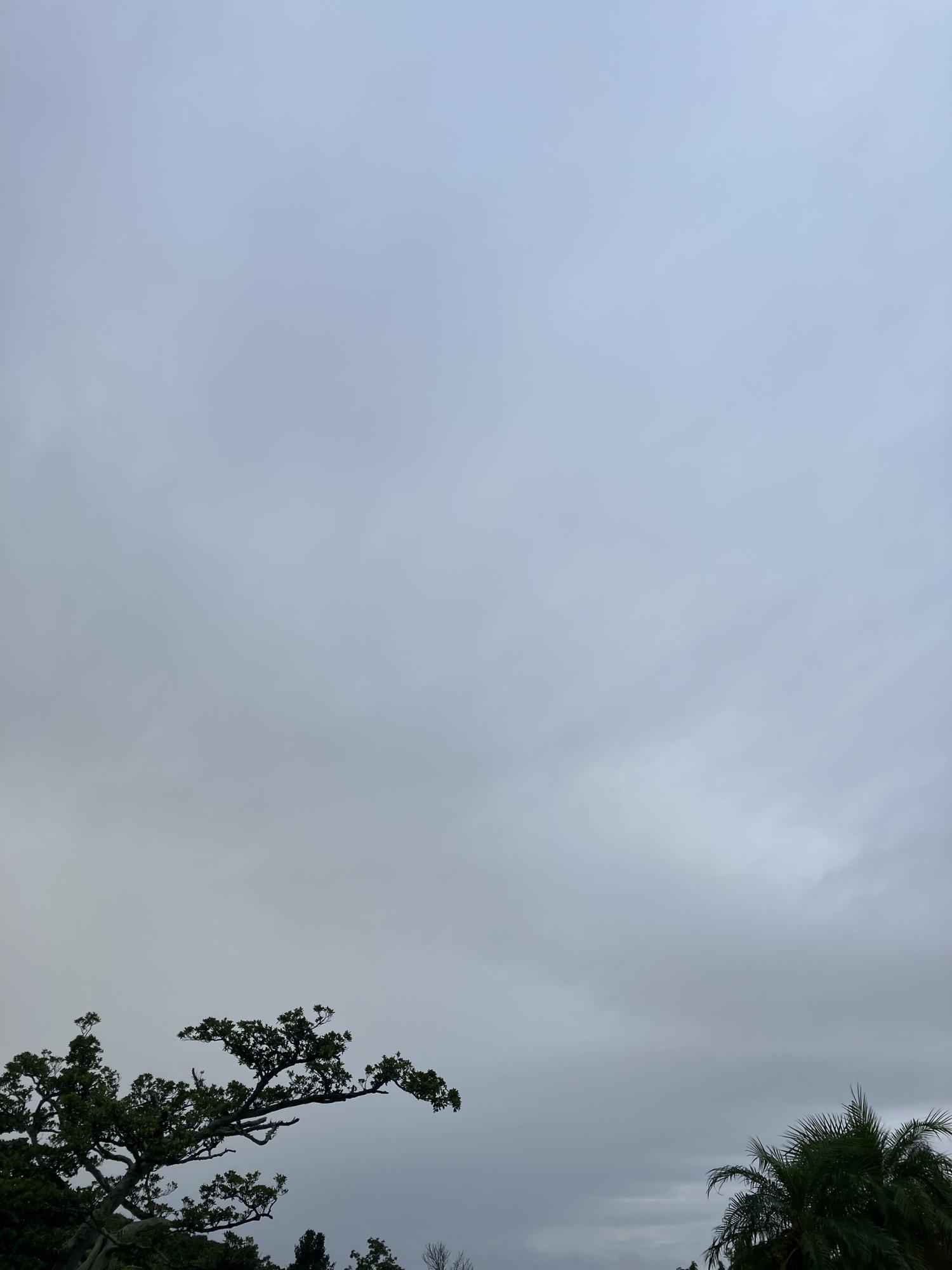 イェスタディの１７時１４分