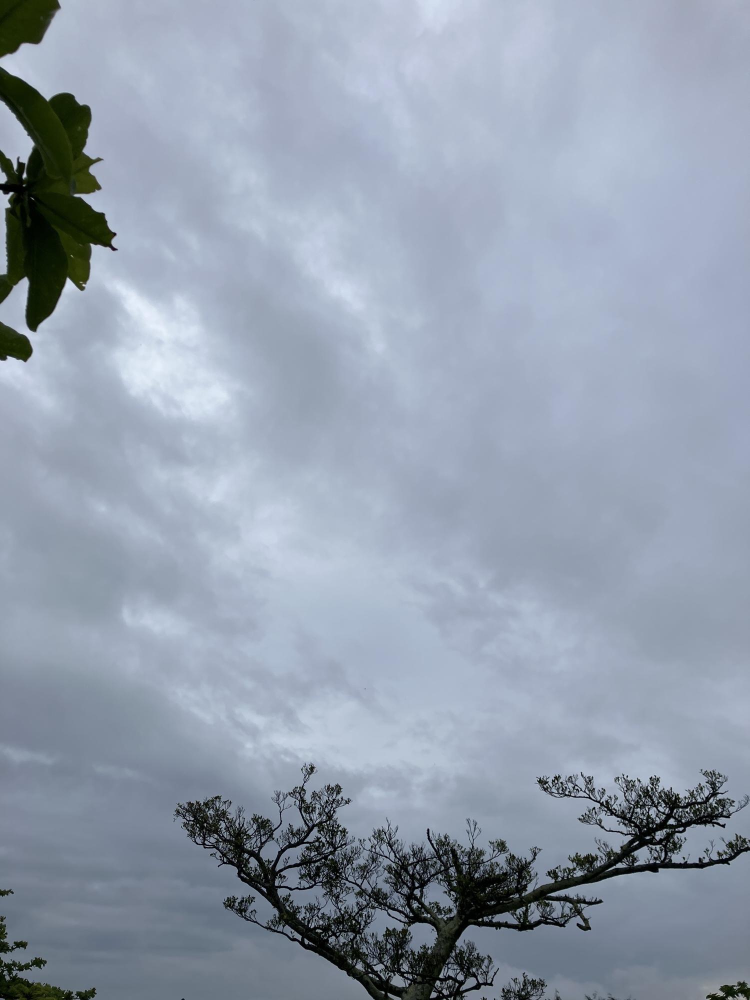 イェスタディの１７時３９分