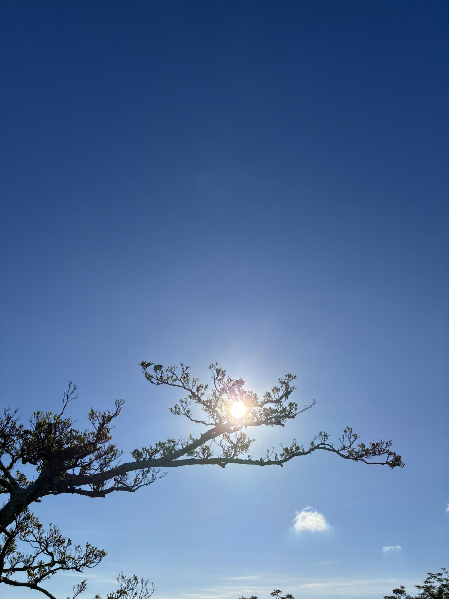 イェスタディの１７時２６分
